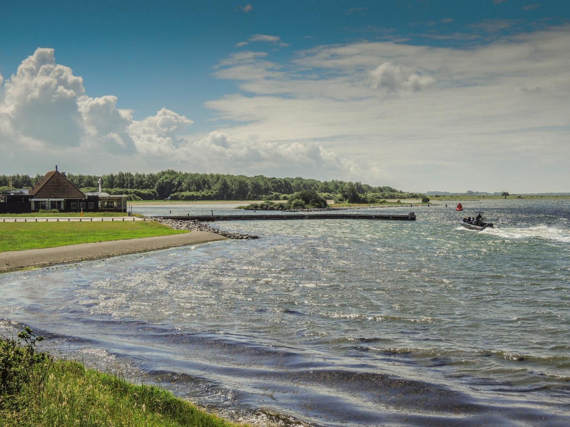 Ruime Vrijstaande Vakantiewoning Aan Veerse Meer, 6 Persoons Wolphaartsdijk Dış mekan fotoğraf